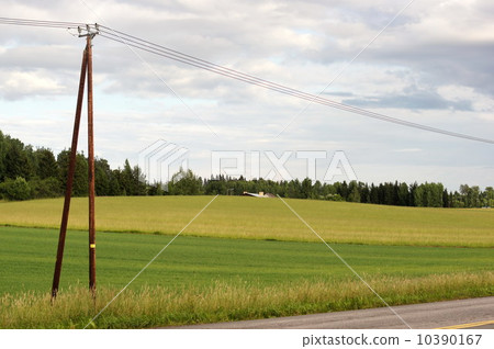 power line power line 10390167