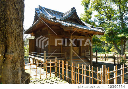 Hama Rikyu皇家花園·老米神社 Hama Rikyu皇家花園·老米神社 10390334