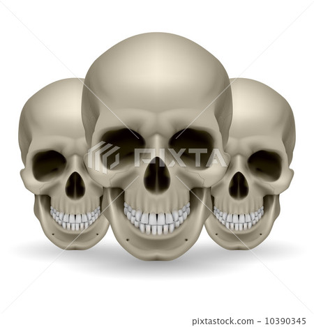 Three skulls Three skulls 10390345