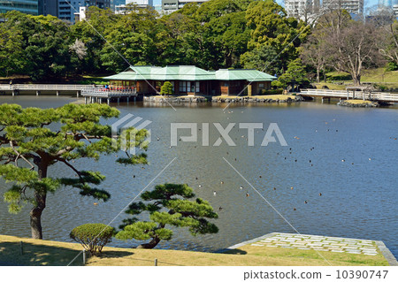 Hama Rikyu Imperial Garden · Oizumi water and Oshacha in Nakajima 10390747