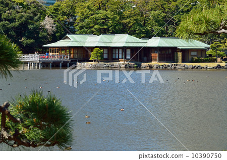 Hama Rikyu Imperial Garden · Oizumi water and Oshacha in Nakajima 10390750