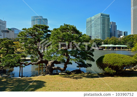 Hamarikyu Garden Hamarikyu Garden 10390752