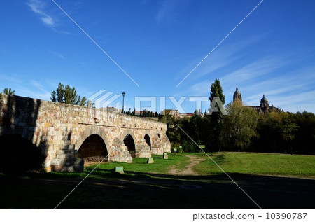 Salamanca (Spain) Rome Bridge and Cathedral 10390787