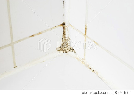 Mould in a bathroom 10391651