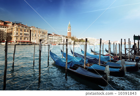 Gondolas on Grand Canal and St Marks Tower Gondolas on Grand Canal and St Marks Tower 10391843
