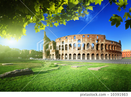 Colosseum in Rome, Italy 10391983