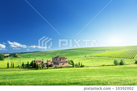 Tuscany landscape with typical farm house, Italty 10392002