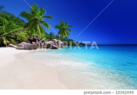 beach at Praslin island, Seychelles 10392049