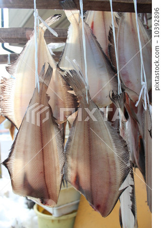 Overnight dried flounder 10392896