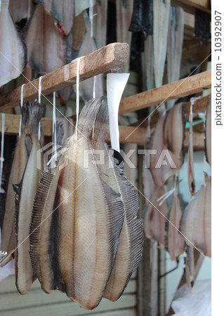 Overnight dried flounder Overnight dried flounder 10392907