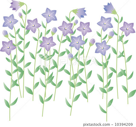 Flower Garden 14-A Chinese Flower Garden 10394209