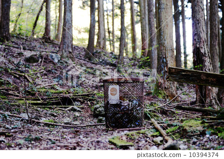 Forest trash bin 10394374