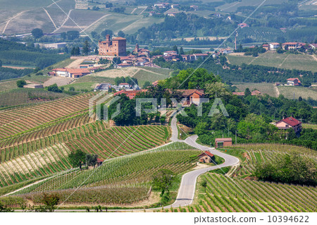 Rural road on the hills in Piedmont, Italy. Rural road on the hills in Piedmont, Italy. 10394622