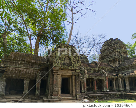 Ta Prohm. 10394664