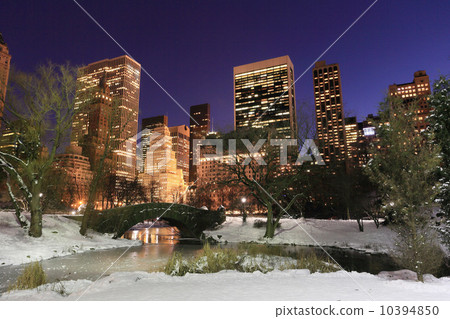 曼哈頓·中央公園雪夜視圖 10394850