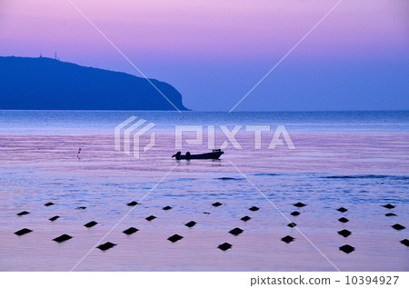 黎明時分釣魚 10394927