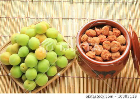 Umeboshi剛收穫和李子 10395119
