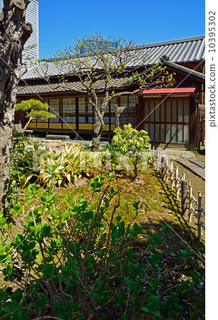 Hama Rikyu Imperial Garden · Ye Mei-tei 10395302