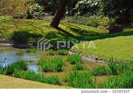 Hamarikyu Garden 10395307