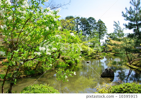 Hospital etc / heartfelt pond Hospital etc / heartfelt pond 10395915