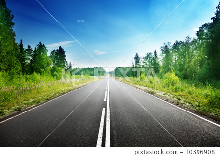 road in deep forest 10396908