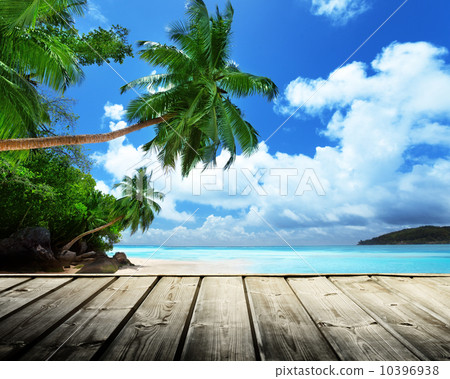 beach of Seychelles 10396938