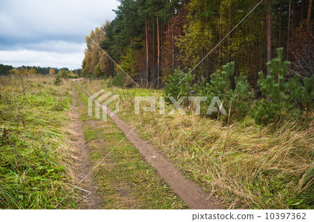 Autumn landscape. Autumn landscape. 10397362