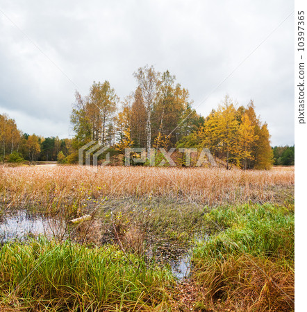 Autumn landscape. Autumn landscape. 10397365