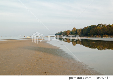 Morning on the bank of the Baltic sea 10397418