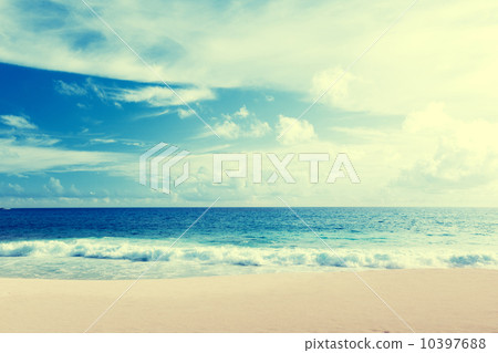 tropical beach 10397688