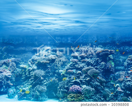 Sea or ocean underwater with coral reef and tropical fishes 10398808