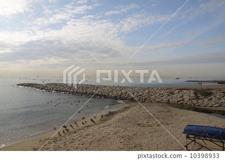 明石海峽/ Hayashizaki Matsue Coast和Harima Nada的漁業景觀有許多紫菜種植區 10398933