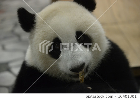 Up smile (eye line) 10401301