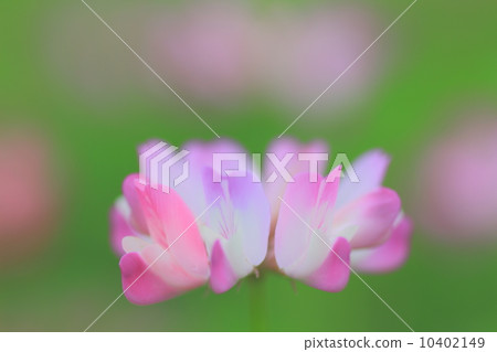 Round grass 4 Round grass 4 10402149