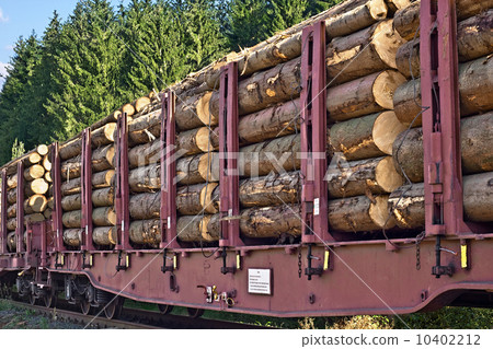 Transporting wooden logs 10402212