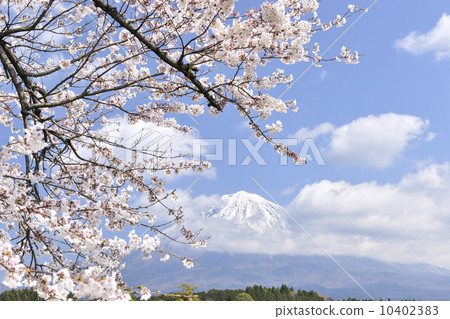 春天的富士山 春天的富士山 10402383