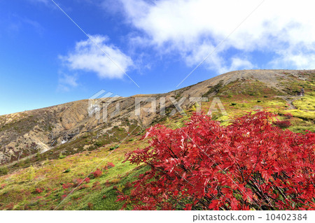 [群馬縣草津町]羅文的秋葉和Shirane的山脈 10402384