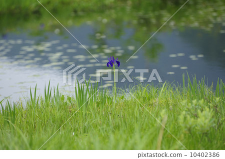 Okase的沙沙作響 Okase的沙沙作響 10402386