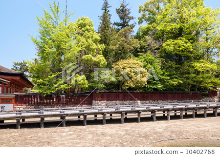 嚴島神社 嚴島神社 10402768