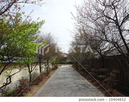 Japanese walking path 10404652