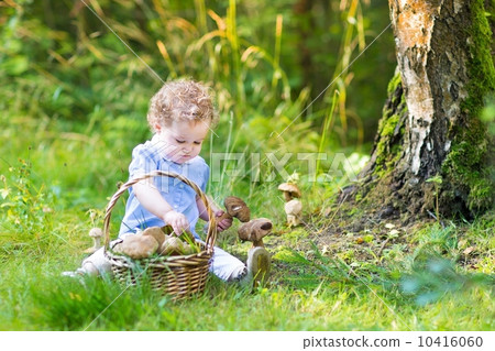 Adorable baby girl gathering mushrooms in a big basket in an aut 10416060