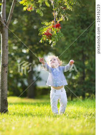 Beautiful blond curly baby girl playing in a sunny autumn park u 10416219
