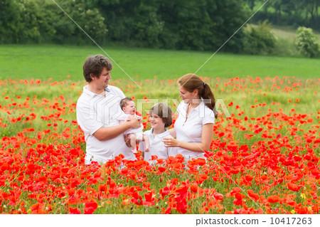 Beautiful family of four standing in a gorgeous poppy flower field 10417263