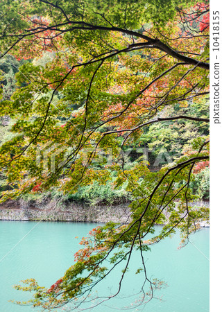 Sagano Arashiyama Sagano Arashiyama 10418155