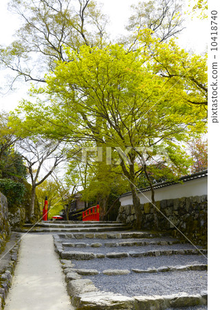 Ogara Mikurin街上的新鮮綠色 10418740