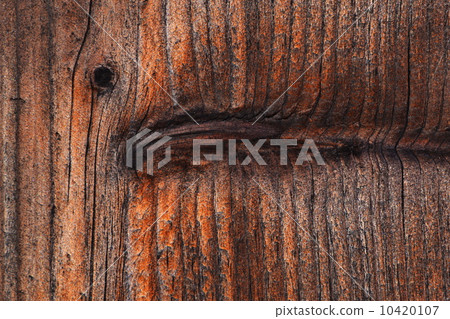 wooden eye wooden eye 10420107