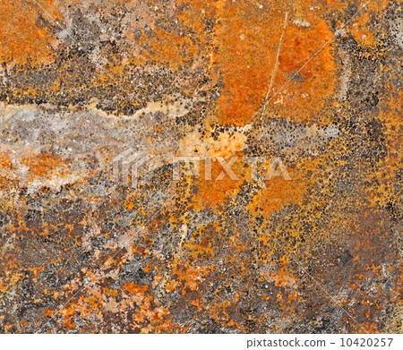 stone with cheetah pattern stone with cheetah pattern 10420257