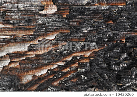 charred wood board charred wood board 10420260
