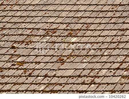 moss covered roof moss covered roof 10420262