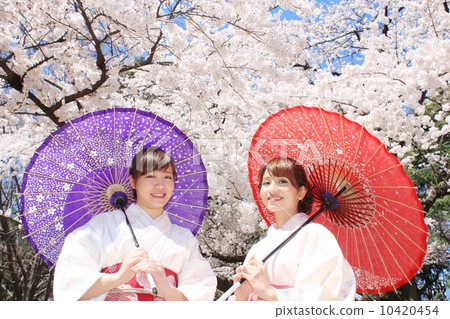 盛開的櫻花和美麗的女人 10420454